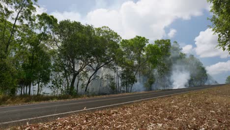 bushfire burning along a country road