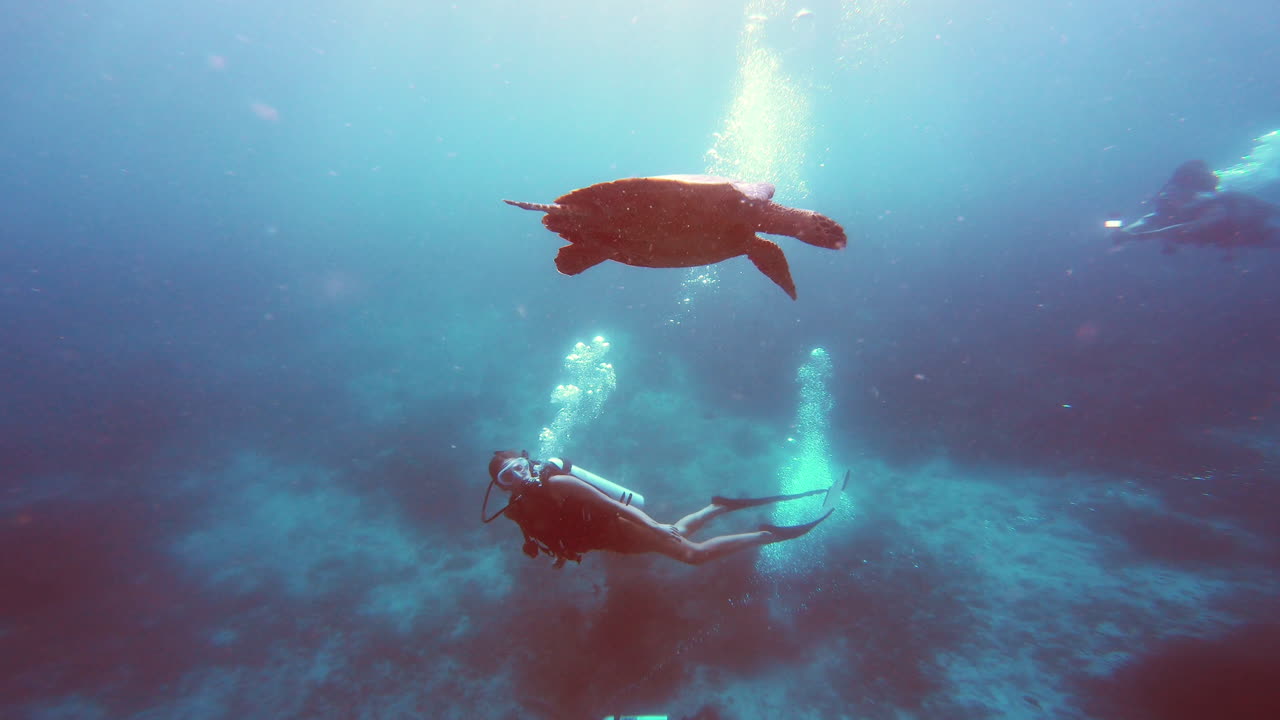 누가 인사하러 왔는지 봐