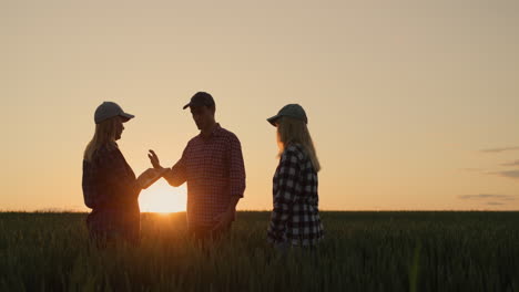 a group of farmers work in the field at sunset, use a tablet, discuss