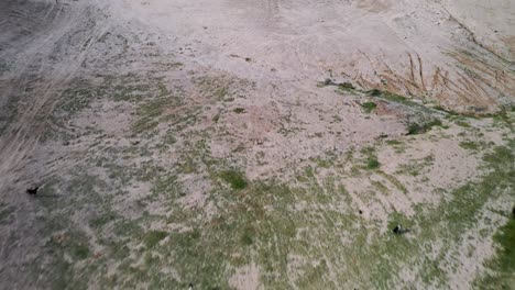 Fly-over-a-grouped-herd-of-black-and-white-goat-and-sheep,-desert,-Israel