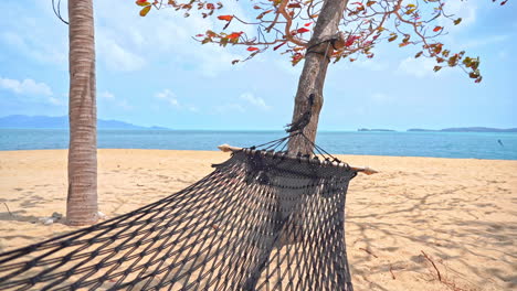 hammock net in shade between trees on empty sandy tropical beach, close up full frame