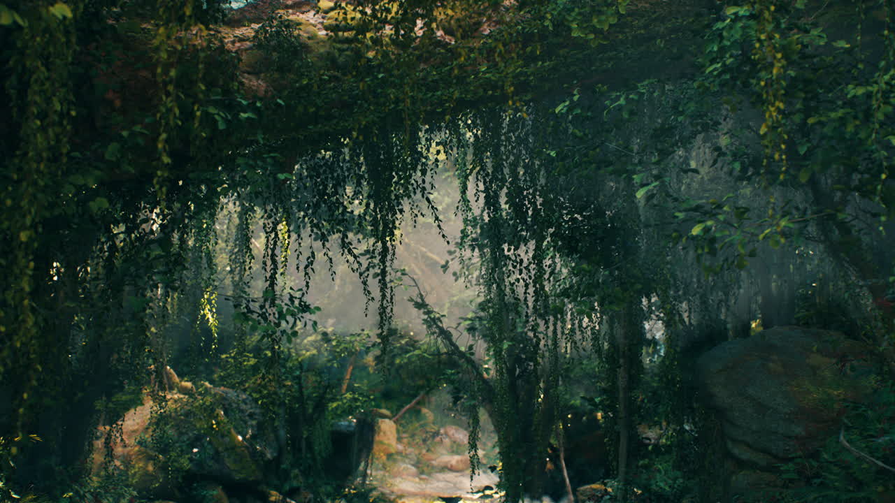 bosque verde brumoso en la luz de la mañana