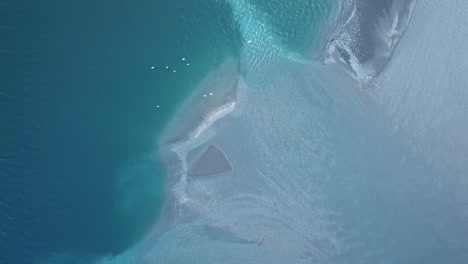 top view of waterfront of idyllic blue lake with different colors and a flock of birds crossing the lake