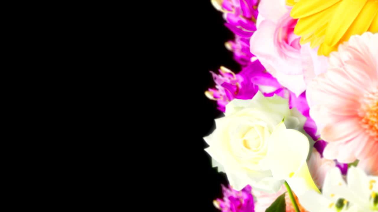 Muchas flores coloridas, fondo negro, animación en bucle