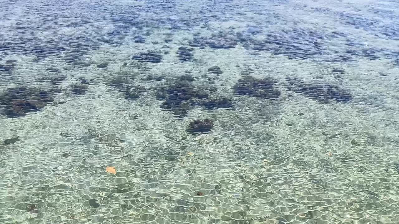 자연 배경으로 해양의 은 물