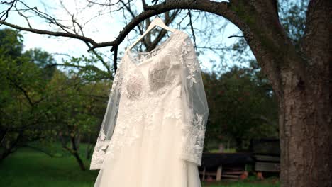 Vestido-Para-La-Novia-Listo-Para-La-Ceremonia-De-Boda