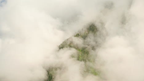 aerial shot towards conifer trees on a mountainside surrounded by clouds