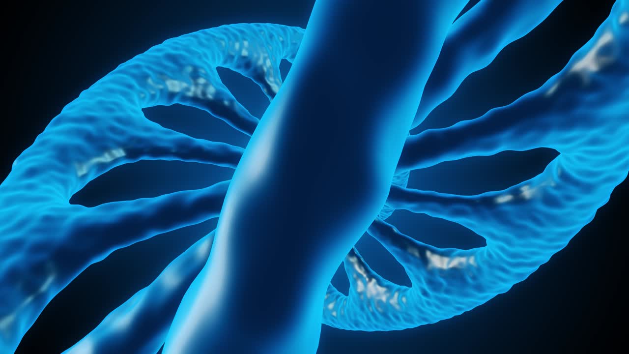 dna 성장의 3d 애니메이션: 을 확대합니다.