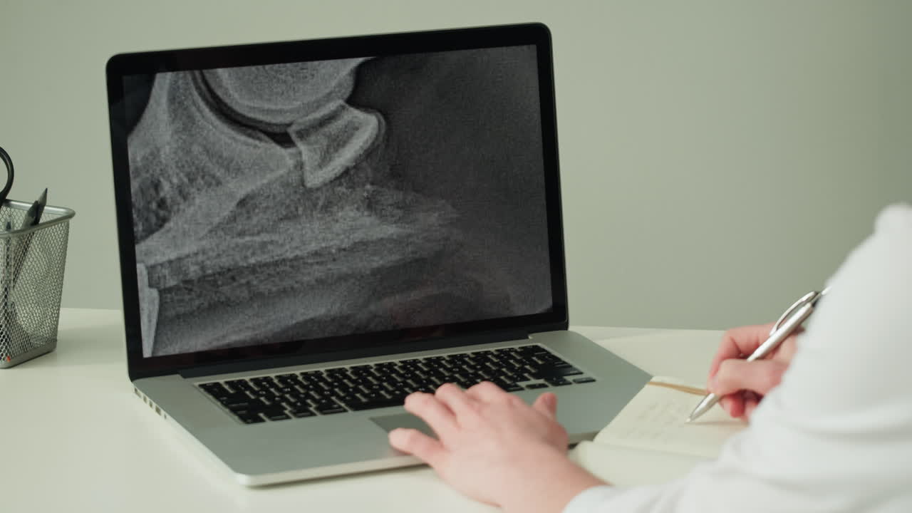 Veterinarian reviewing horse hoof X-ray