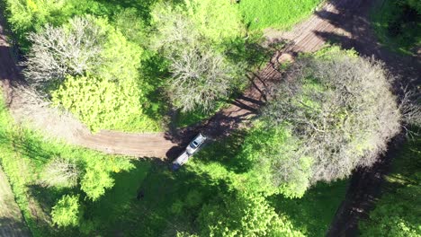 Preparing-forest-car-race-track-by-pushing-obstacles,-aerial-top-down-view