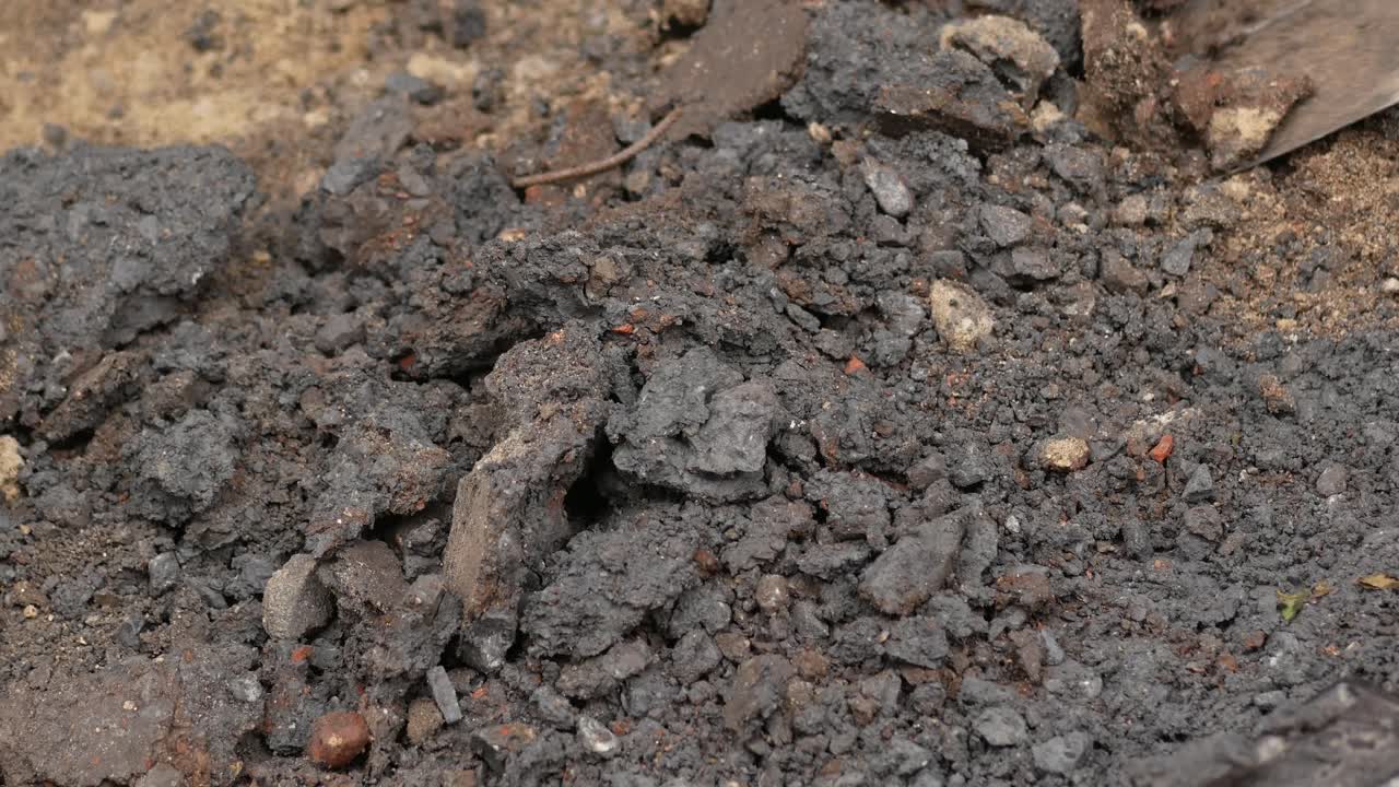 Digging Soil with Shovel