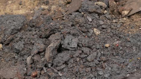 digging soil with shovel