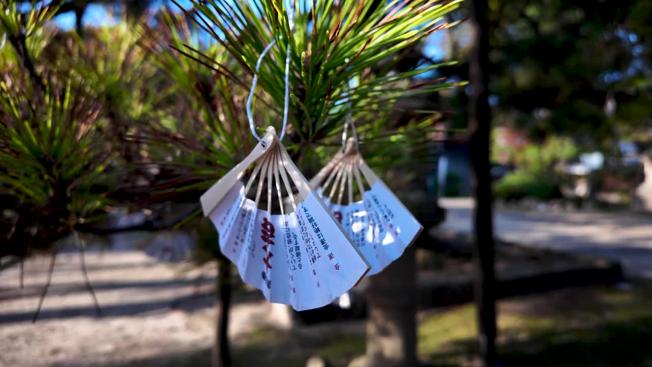 Traditional japanese paper fans with japanese writing hanging from pine branch, swaying in the wind in Amanohashidate, Japan