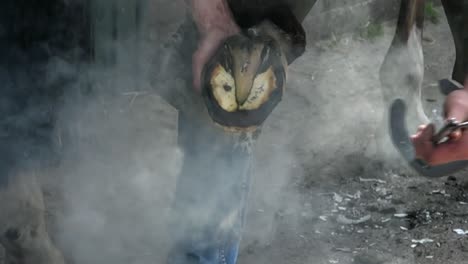 farrier using a tool to remove a horseshoe from a horses hoof, lots of gorgeous steam, close up in slow motion