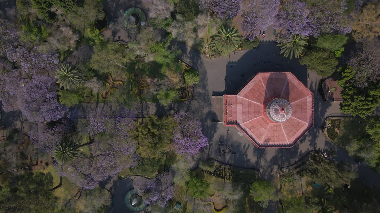 공중 전망 사람 들 은 운동 을 하고 스포츠 를 하고 센트럴 파크 에서 휴식을 취 하고 녹색 과 보라색 의 봄 자연 에 둘러싸여 있다