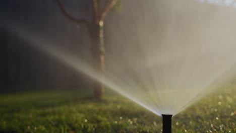 A-stream-of-water-under-pressure-irrigates-the-green-.-Slow-motion-4k-video