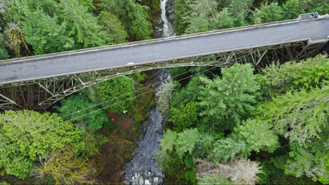 4K-Drohnenaufnahmen,-Die-Im-Immergrünen-Wald-Mit-Blick-Auf-Die-Brücke-Zum-Fluss-Hinunterfliegen