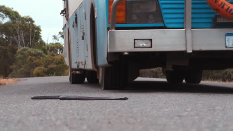 low angle shot of black snake lying on the road with bus in background during sunny day