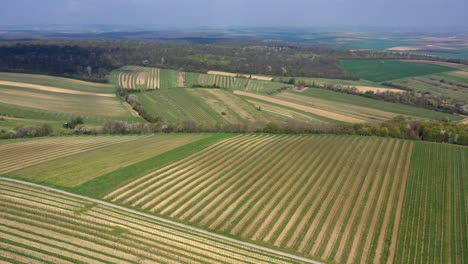 Vista-Aérea-Del-Hermoso-Paisaje-De-Viñedos-En-Austria---Toma-De-Drones