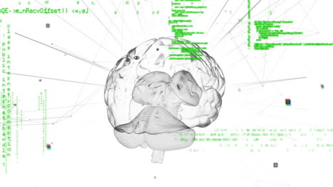 animación del procesamiento de datos a través de escaneo de alcance y cerebro