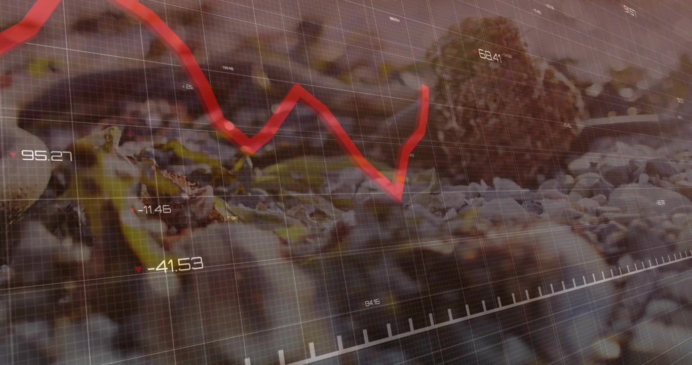 Grafico rosso che entra dall'angolo superiore sinistro, attraversa una griglia, raggiunge il picco e poi scende, mostrando dati rappresentati da un seme marrone.