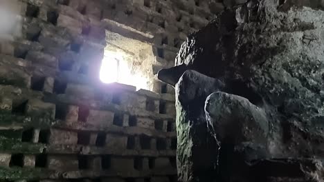 inside ancient penmon priory dovecot with stone wall nesting box looking up at window light