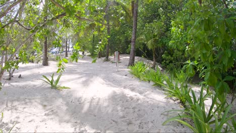 Caminando-Por-Un-Sendero-De-Arena-En-Una-Playa-Tropical