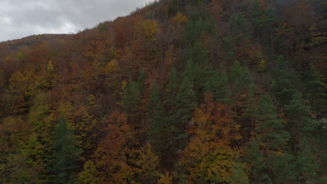 Montaña-Con-Bosques-Caducifolios-Y-Abetos-En-Los-Hermosos-Colores-De-La-Temporada-De-Otoño,-Capturada-Desde-Un-Dron-Ascendente-Bajo-Un-Cielo-Nublado