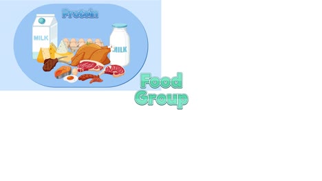 animación colorida que muestra varios grupos de alimentos