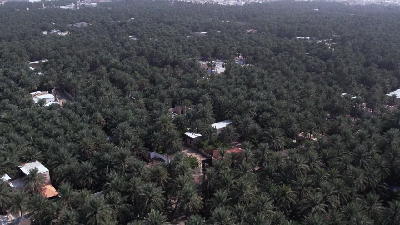 ⁇  오아시스와 함께 지평선 전망