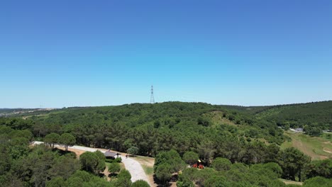 Aerial-view-of-the-forest-during-daytime