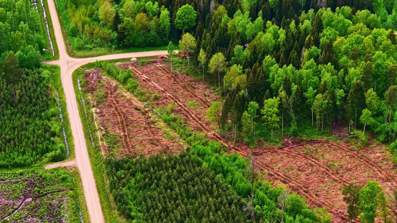 Vue aérienne d'une clairière forestière et de routes.