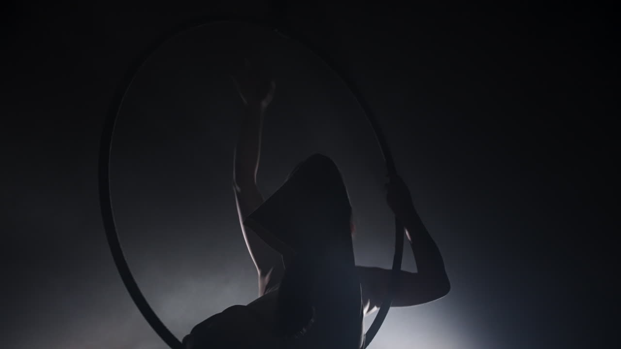 Aerial Hoop Performance Silhouette
