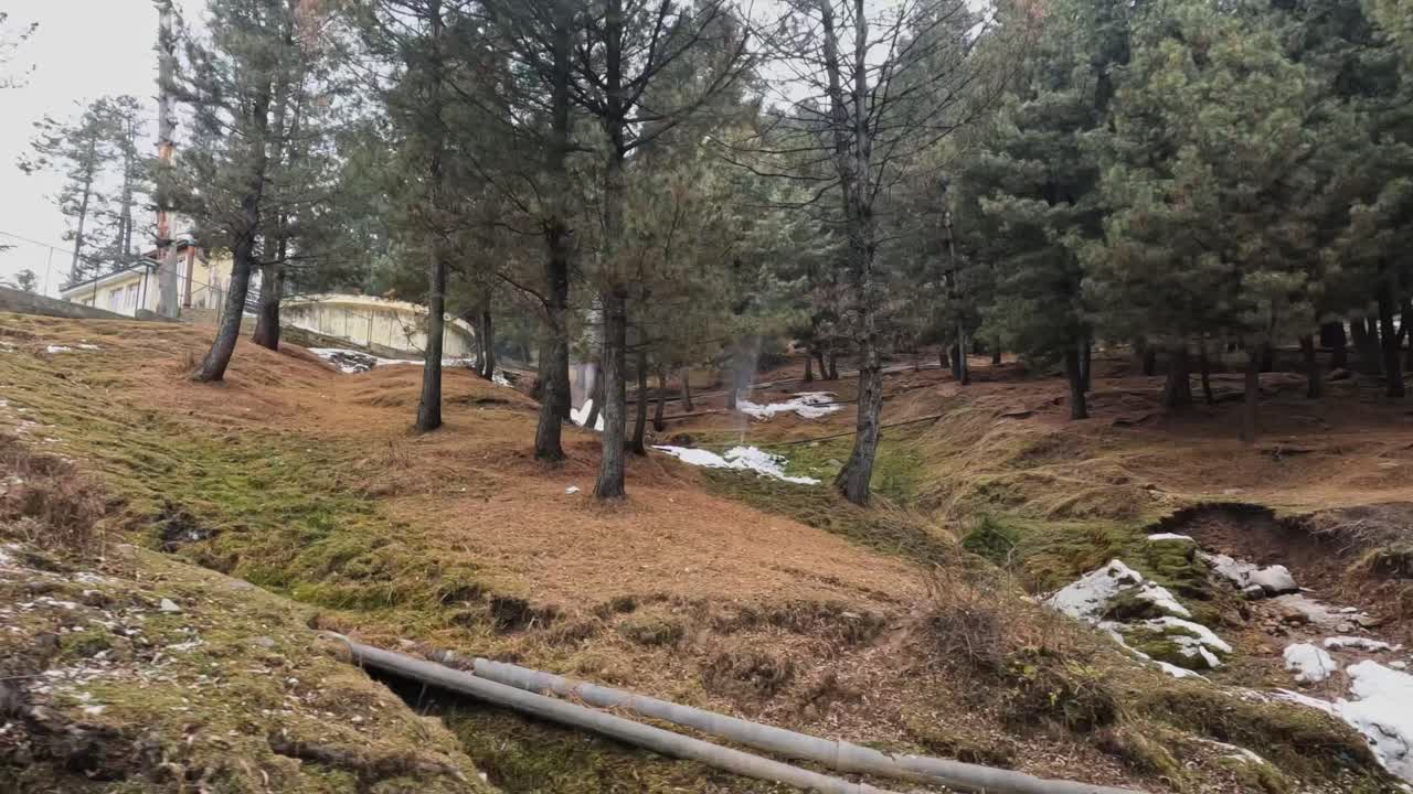 Snow-Covered Mountain Landscape with Pine Trees and house at srinagar, jammu and kashmir, india. day time, trucking shot, 4k