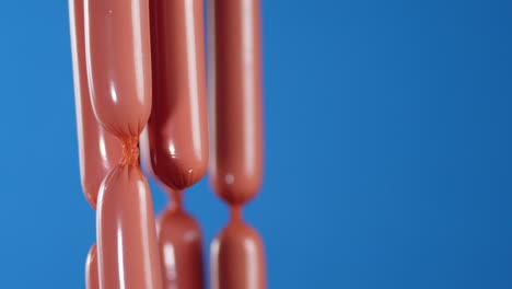 fragrant bundles of boiled sausages dangling.