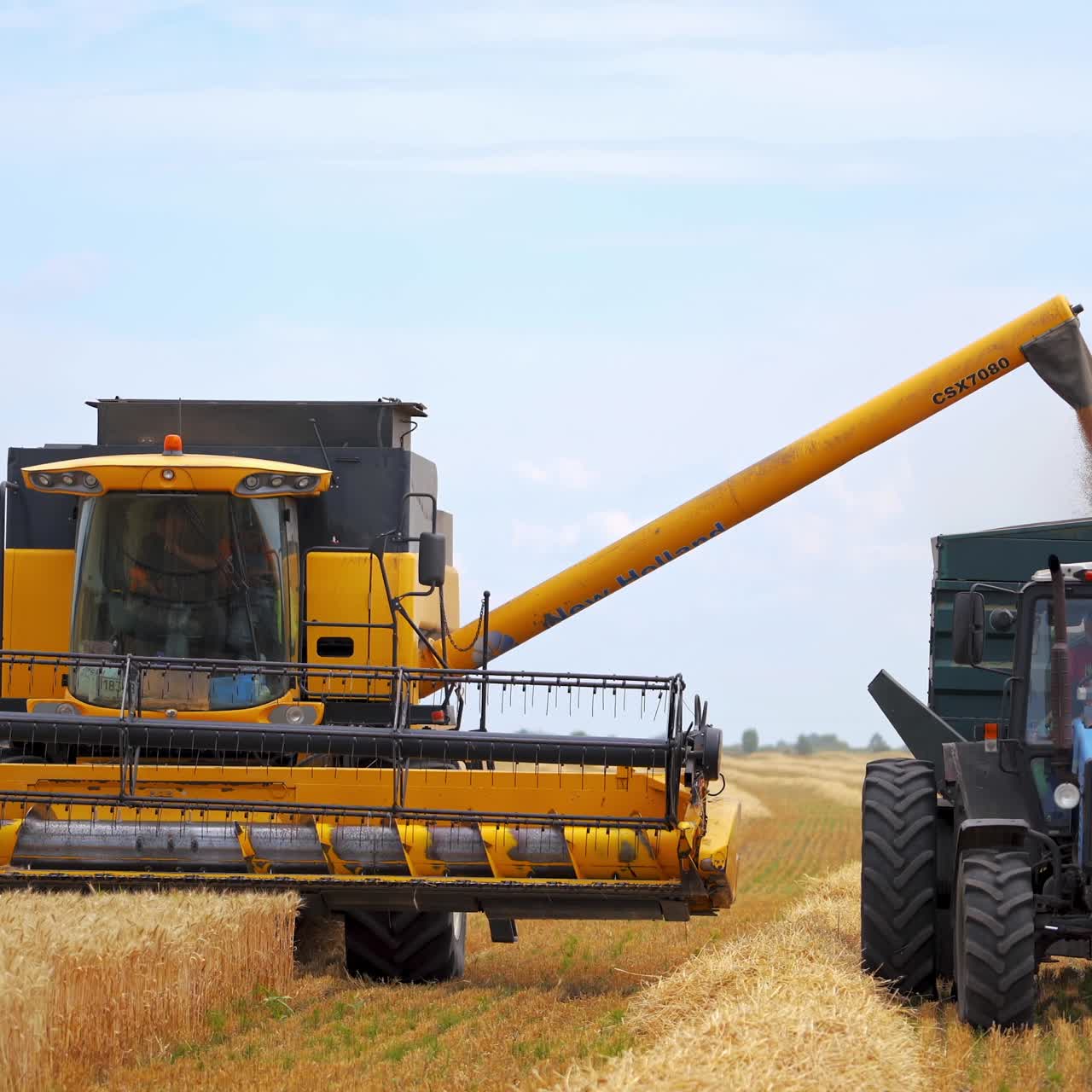 Combiner harvesting the wheat field