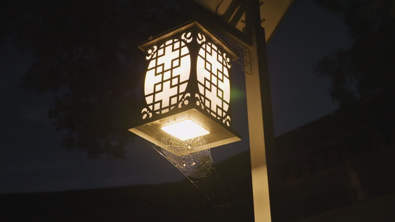 Lanterna calda e luminosa con particelle fluttuanti, scena serena di un giardino notturno con cornice metallica ornata, morbida illuminazione ambra che proietta ombre modellate sul fogliame vicino, sottile movimento di puntini sospesi.