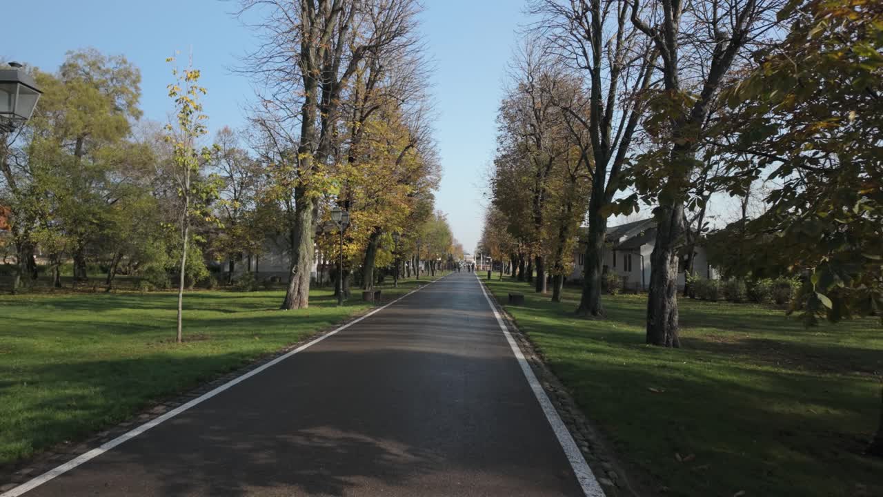 straight paved road framed by autumn trees inside Mogosoaia Park near historic palace Romania