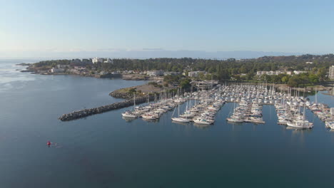 Drone-Sobre-Veleros-En-Puerto-Cerca-De-Oak-Bay-Bc