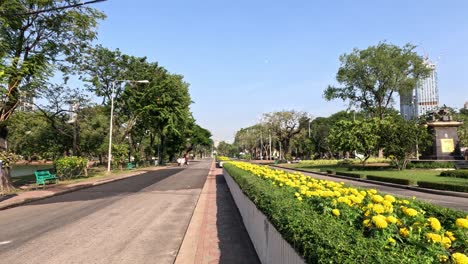 a peaceful walk along a flower-lined pathway