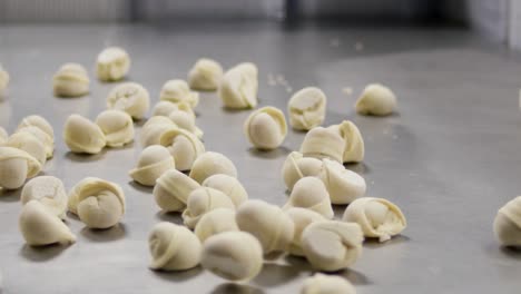 raw dumplings on a metal surface