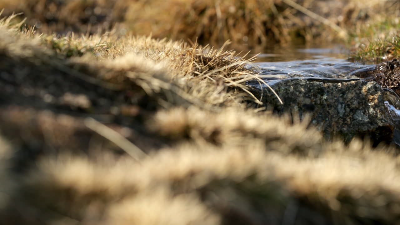 Clean Water From The Melted Snow Flowing In Serra Da Estrela In Portugal - close up slow panning shot