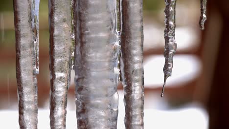primer plano de un grupo de carámbanos colgantes en la cubierta de una casa con agua derritiéndose y corriendo por el hielo y goteando de los puntos