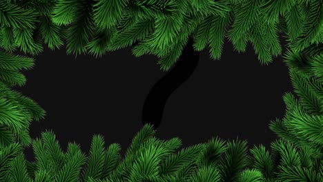 Animation-of-christmas-tree-branches-over-dark-background