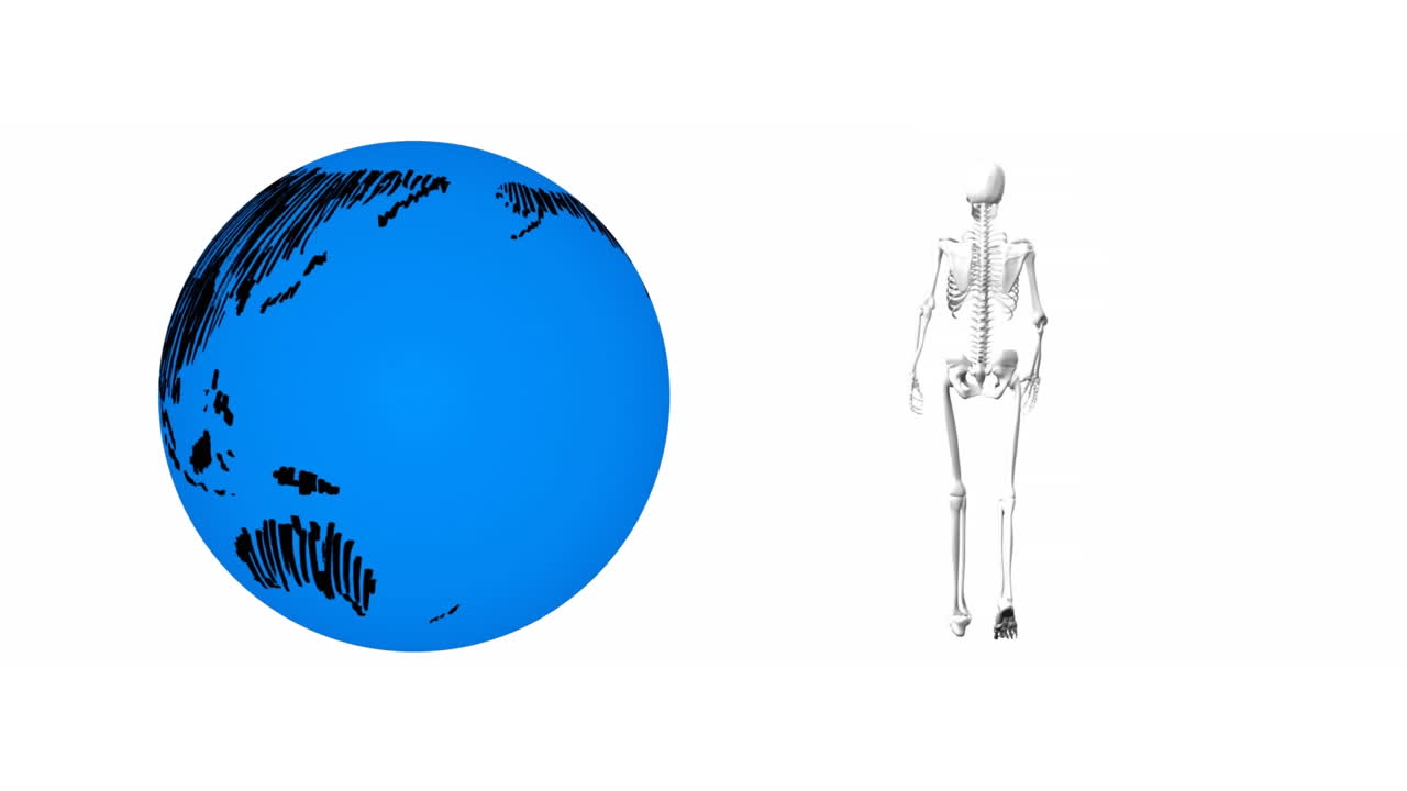 ⁇ 색 배경에 있는 골격  ⁇ 기와 지구의 애니메이션