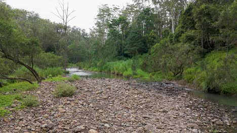 peaceful nature scene with flowing water