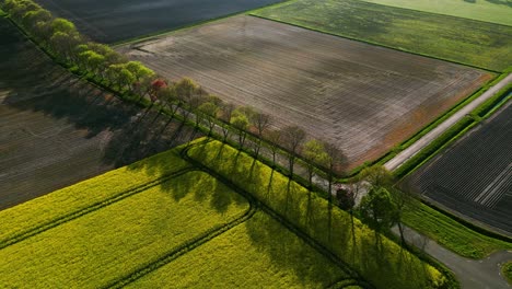 aerial view of farmland and road