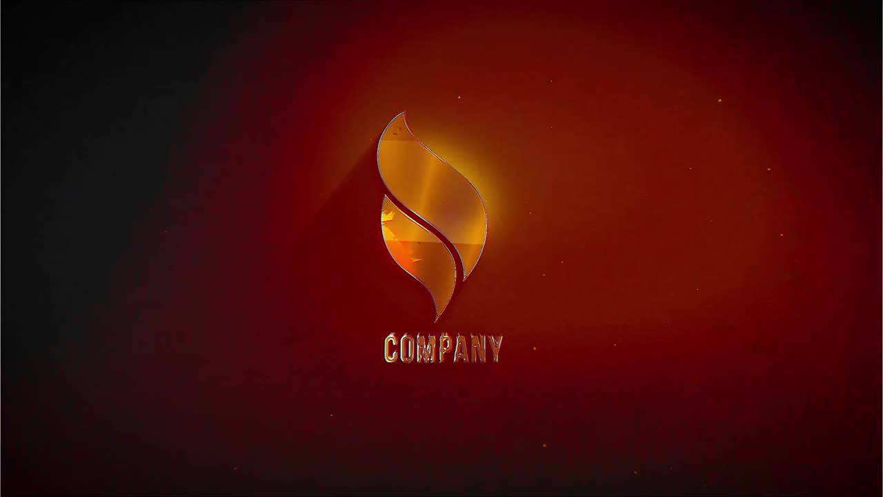 Logo animation video template