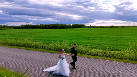 Bride in flowing gown and groom in black suit walk together down a cobblestone path framed by golden blossoms on one side and lush green fields beneath a dramatic sky