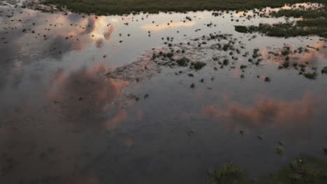 marsh puesta de sol cerca de mobile bay, alabama